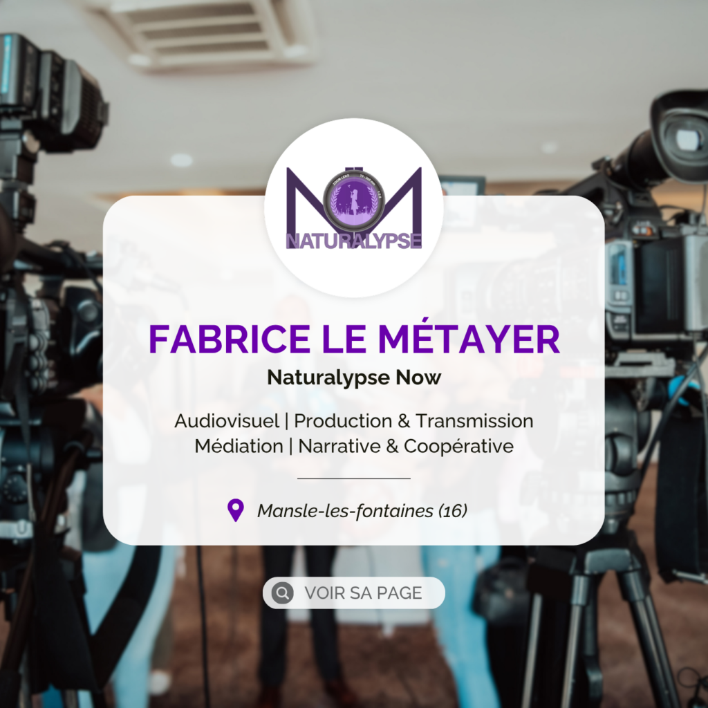 Fabrice Le Métayer-profil