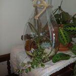 terrarium - Nadine JACQUINOT